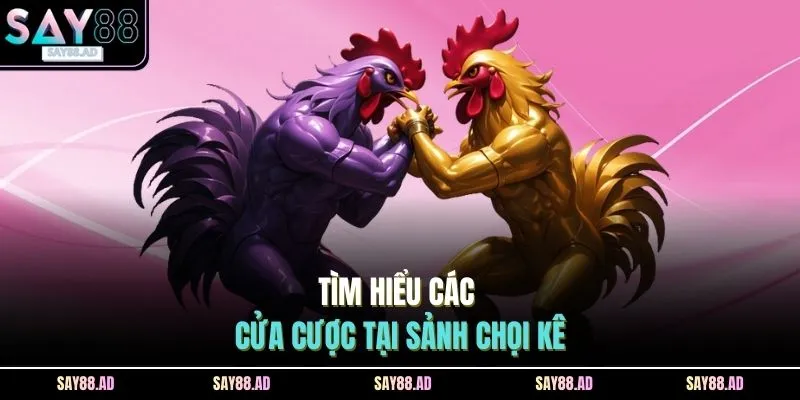 Tìm hiểu các cửa cược tại sảnh chọi kê
